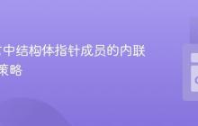 Go语言中结构体指针成员的内联初始化策略