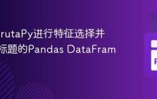 使用BorutaPy进行特征选择并输出带标题的Pandas DataFrame