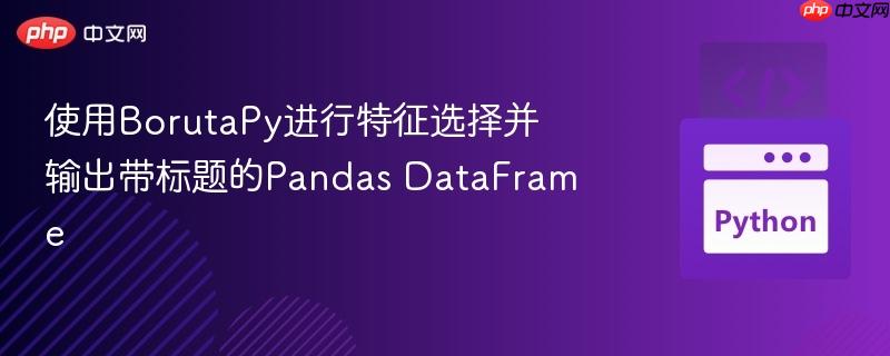 使用BorutaPy进行特征选择并输出带标题的Pandas DataFrame