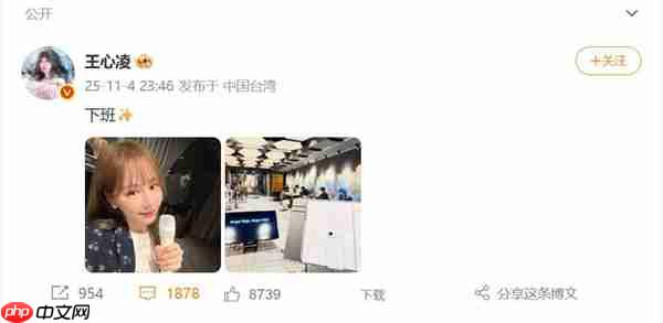 王心凌晒自拍照:新换的iPhone Air抢镜