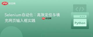 Selenium自动化：高效定位与填充网页输入框实践