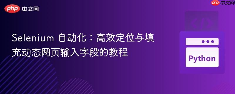 Selenium 自动化：高效定位与填充动态网页输入字段的教程