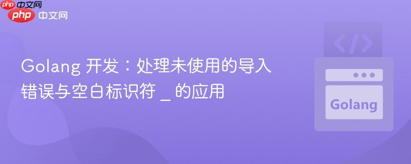 Golang 开发:处理未使用的导入错误与空白标识符 _ 的应用