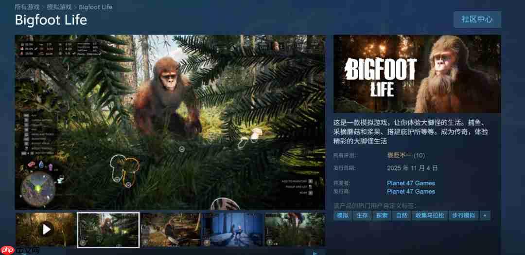 大脚怪模拟游戏《Bigfoot Life》现已登陆Steam