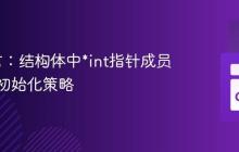 Go语言：结构体中*int指针成员的内联初始化策略