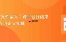 Go语言文件写入：跨平台行结束符处理与自定义实践