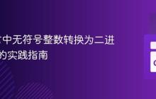 Go语言中无符号整数转换为二进制表示的实践指南