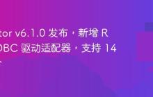 dbVisitor v6.1.0 发布，新增 Redis JDBC 驱动适配器，支持 140+ 命令