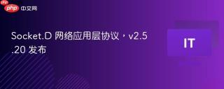 Socket.D 网络应用层协议，v2.5.20 发布