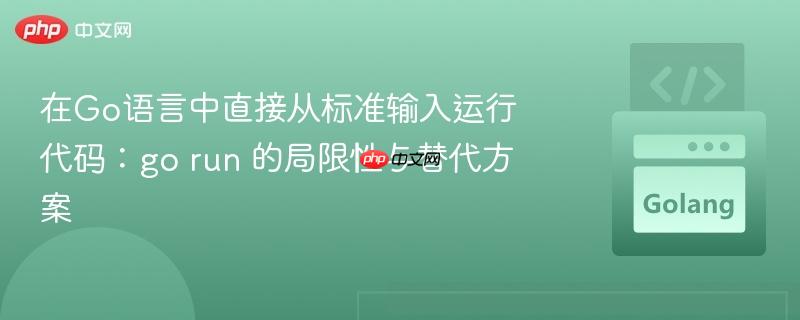 在Go语言中直接从标准输入运行代码：go run 的局限性与替代方案

