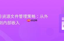 Go 项目资源文件管理策略：从外部引用到内部嵌入
