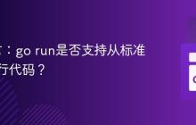 Go语言：go run是否支持从标准输入执行代码？