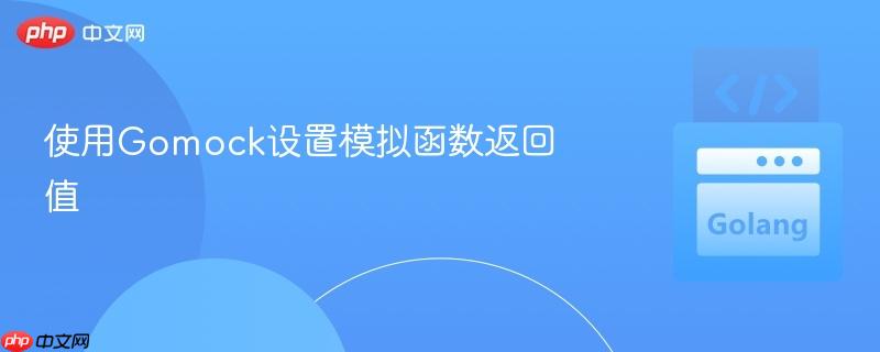 使用Gomock设置模拟函数返回值