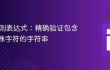 Java正则表达式：精确验证包含特定特殊字符的字符串