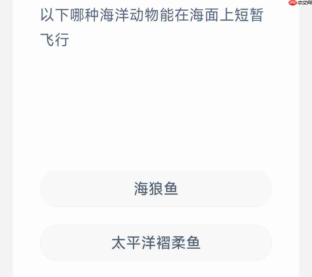 以下哪种海洋动物能在海面上短暂飞行