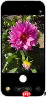 苹果iPhone相机有什么模式