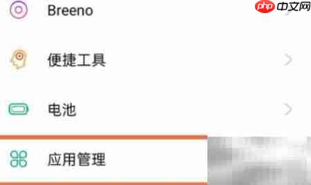 真我GT应用分身开启方法