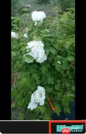 《剪映》已删除视频找回方法一览