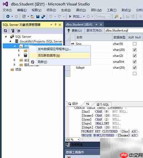 VS中修改SQL排序规则