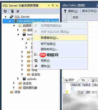 VS中修改SQL排序规则