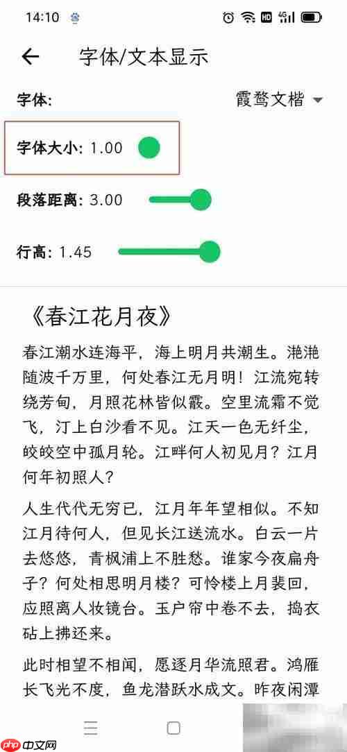 人生笔记Real小字体设置技巧