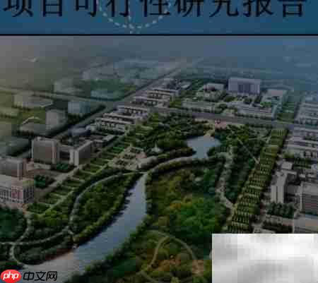 初步可行性研究的关键作用