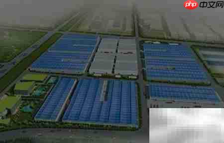 初步可行性研究的关键作用