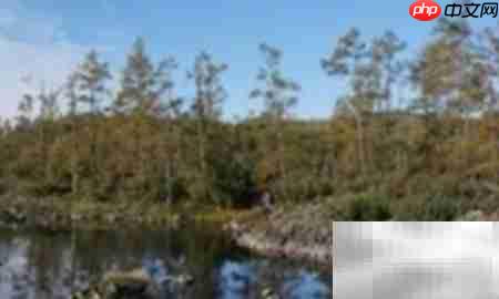 高山柏移栽技巧