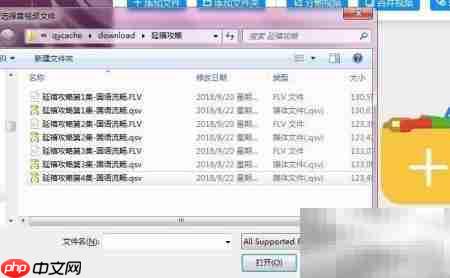 FLV转MP4：解决PR导入问题