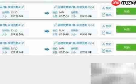 FLV转MP4：解决PR导入问题