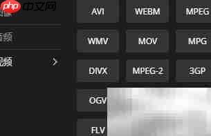 视频转换器使用指南