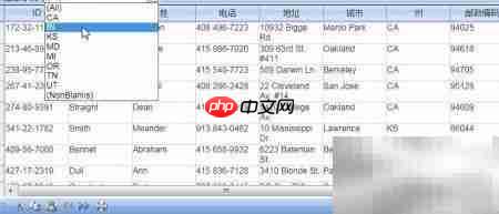 Spread Studio图表过滤定制