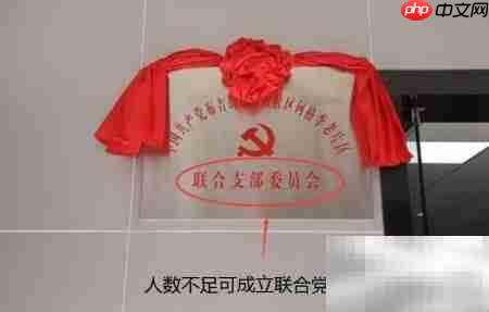 无党支部单位如何入党