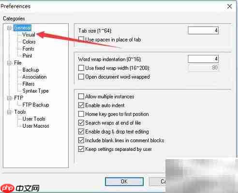 Crimson Editor显示制表符设置方法
