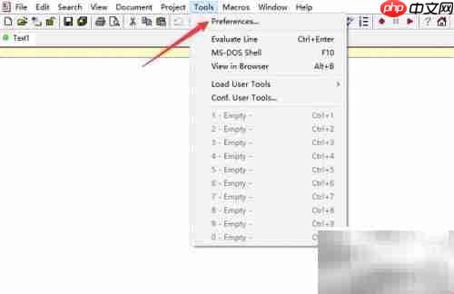 Crimson Editor显示制表符设置方法