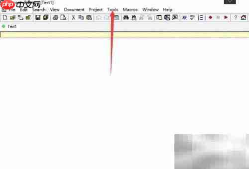 crimson editor显示制表符设置方法