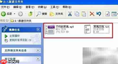 无需工具,轻松隐藏文件