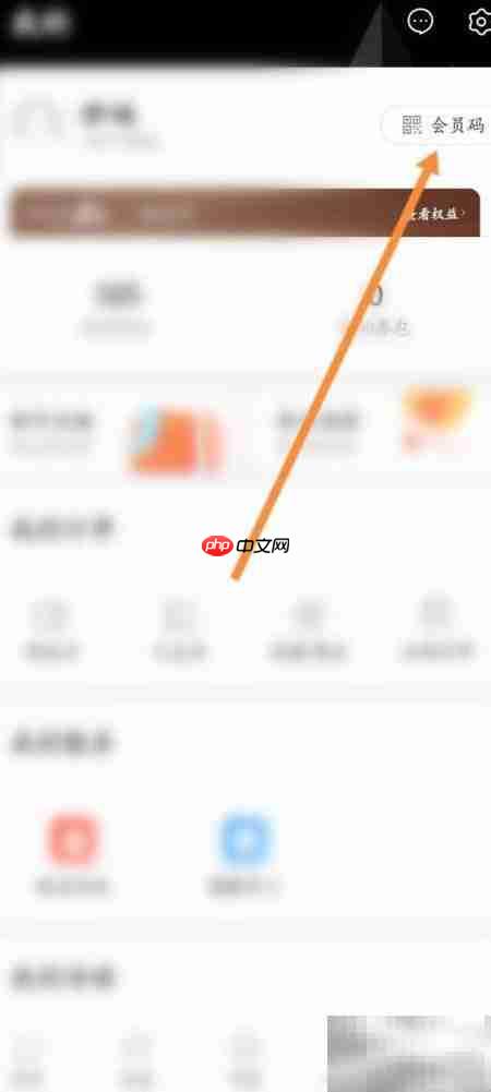 如何查看一点万象会员码
