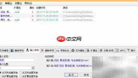 CHB Renamer批量更名教程