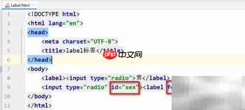 HTML label标签详解