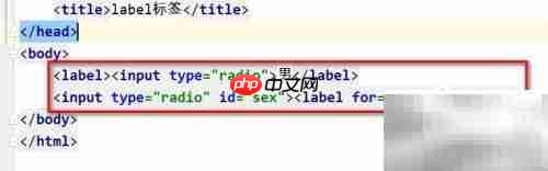 HTML label标签详解