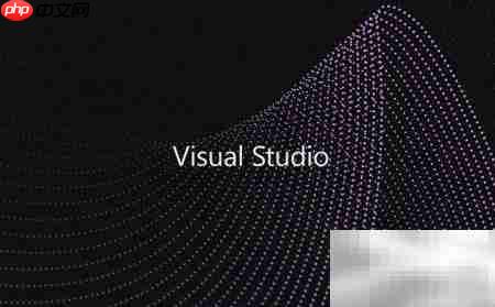 vs2019 basic错误显示方法