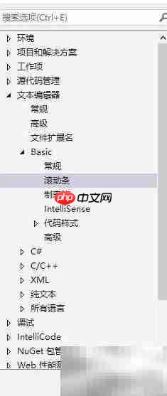 VS2019 Basic错误显示方法