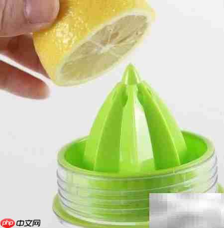 韩国Citrus Zinger柠檬水杯选购指南