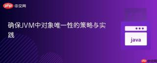 确保JVM中对象唯一性的策略与实践