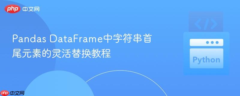 pandas dataframe中字符串首尾元素的灵活替换教程