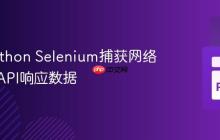 使用Python Selenium捕获网络请求与API响应数据