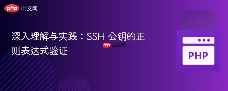 深入理解与实践:SSH 公钥的正则表达式验证