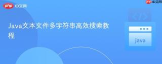 Java文本文件多字符串高效搜索教程