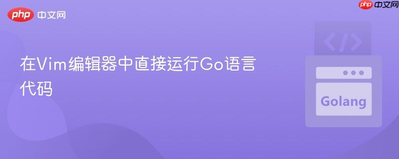 在Vim编辑器中直接运行Go语言代码